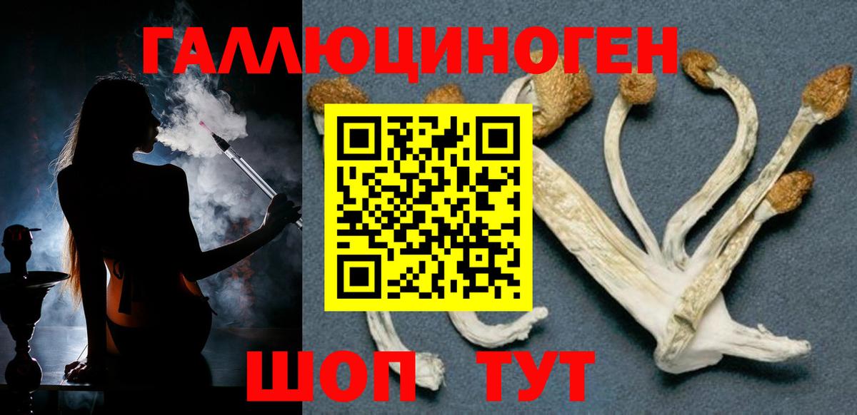 Галлюциногенные грибы Psilocybine cubensis Лобня