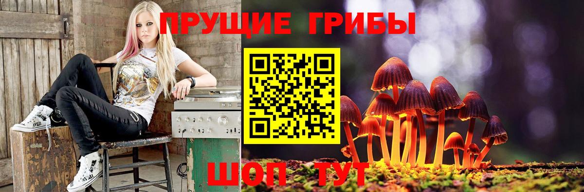 Псилоцибиновые грибы мицелий  Вход с VPN  Лобня 